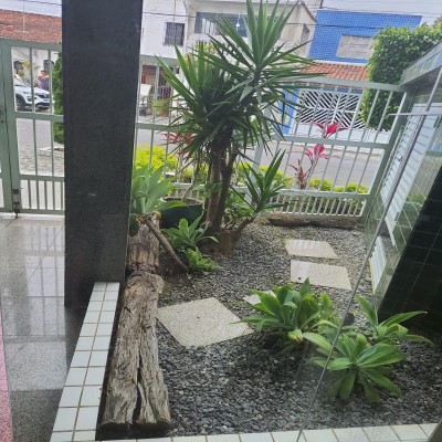 Começando a Descubrir a Vida
